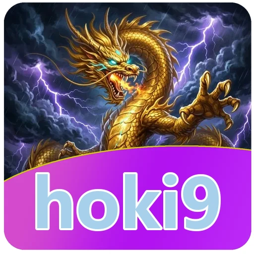 Performa hoki9